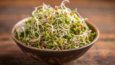 تسالي العيد.. تعرف على طريقة عمل الحلبة المنبتة وأهم فوائدها