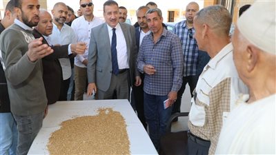 محافظ المنوفية: استئناف أعمال توريد القمح بالمحافظة 