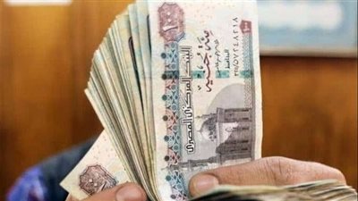 عاجل | بعائد 39 %.. تفاصيل شهادات البنوك المطروحة مؤخرًا
