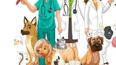 التفاصيل الكاملة حول اليوم العالمي للطبيب البيطري