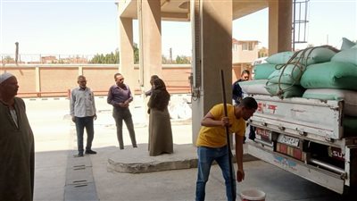 إقبال كثيف على توريد القمح بالشون والصوامع بالمنوفية