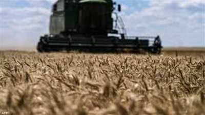 مجموعة السبع تدعو إلى تمديد اتفاق تصدير الحبوب عبر البحر الأسود