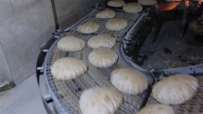 استمرار تنفيذ الحملات التموينية وضبط العديد من المخالفات بالدقهلية 