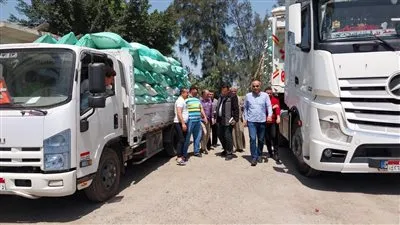 استلام 770 طن قمح بصومعة بني عبيد وشونة السنبلاوين بالدقهلية 