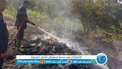  السيطرة على حريق في حقل قمح بالمنوفية