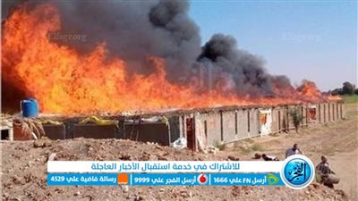 الحماية المدنية تسيطر على حريق هائل في مزرعة دواجن بالإسماعيلية