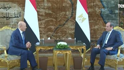 شاهد.. تفاصيل لقاء الرئيس السيسي برئيس مجلس القيادة الرئاسي بالجمهورية اليمنية