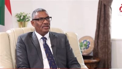 القائم بعمل سفير السودان: دور مصر أساسي للوصول إلى حل الأزمة