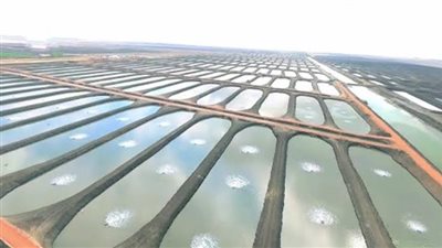 تعرف علي خريطة مشروعات الاستزراع السمكي في مصر