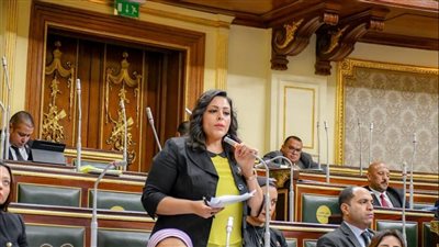 برلمانية: تصريحات رئيس الوزراء الأخيرة بمثابة توضيح للمشهد السياسي في مصر 