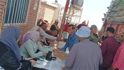 محافظ الدقهلية: متوقع توريد 470 ألف طن قمح هذا العام 