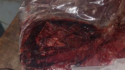 ضبط 24 طن لحوم وأسماك غير صالحة بالجيزة