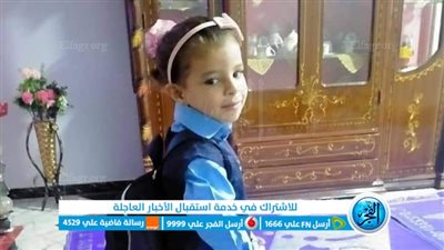 مصرع طفلة إثر اصطدامها بتوكتوك بالمنوفية