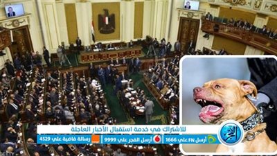 البرلمان يوافق نهائيا على قانون تنظيم حيازة الحيوانات الخطرة واقتناء الكلاب
