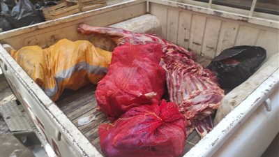 ضبط 7 طن ونصف لحوم وأسماك غير صالحة للاستهلاك بالمنوفية