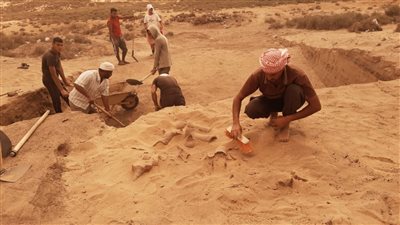 الكشف مركز التجارة والاتصالات الدولية خلال العصر الروماني بالإسماعيلة (صور) 