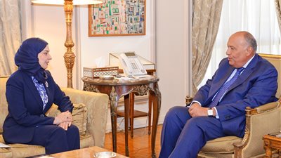 سفير البحرين لدى القاهرة تقدم نسخة من أوراق اعتمادها لوزير الخارجية