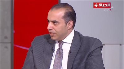 فوزي: الحوار الوطني يعمل لتعديل قانون مباشرة الحقوق السياسية 