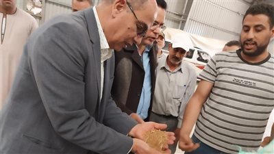 شون وصوامع الدقهلية تستقبل 130 الف طن قمح 