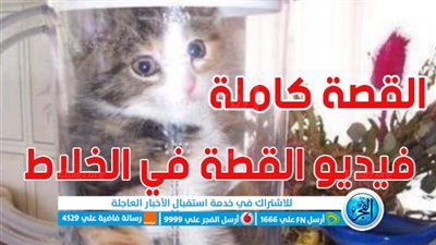 فيديو القطة في الخلاط.. مفاجأة جديدة ونصيحة هامة إذا شاهدت الفيديو !