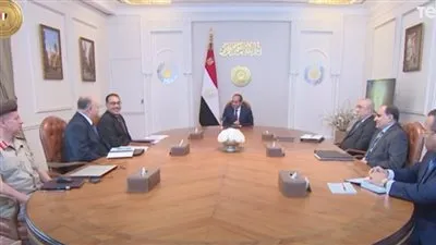 شاهد.. تفاصيل اجتماعات الرئيس السيسي اليوم