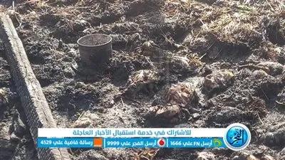 نفوق 7 آلاف دجاجة في حريق التهم مزرعة دواجن بالإسماعيلية