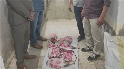 ضبط طن لحوم مذبوحة خارج المجازر ودهون غير صالحة للاستهلاك بالمنوفية