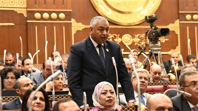 بعد وفاته.. من سيشغل مقعد النائب محمود بكري بمجلس الشيوخ؟