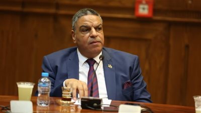 برلماني: إشادة سفير الاتحاد الأوروبي تبرز جهود ترسيخ مكانة مصر لتجارة الغاز