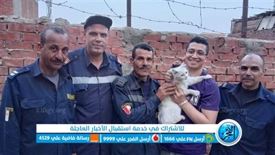 قوات الحماية المدنية بالمنوفية تنجح في إنقاذ قط من الموت المحقق