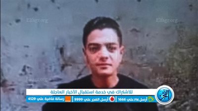 طعنة نافذة.. ننشر أول صور مسجل خطر قتل طالبا في المنيرة الغربية