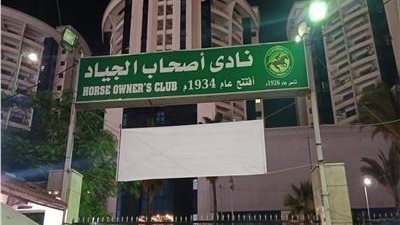 انتخابات الجياد تدخل مرحله الحسم 