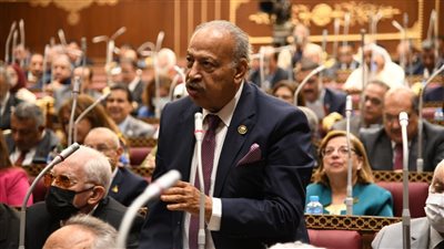 برلماني: قضايا جلسات الحوار الوطني تشتبك مع شواغل الشارع المصري