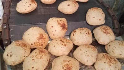 تحرير 197 محضر تمويني خلال يوم واحد بالمنوفية