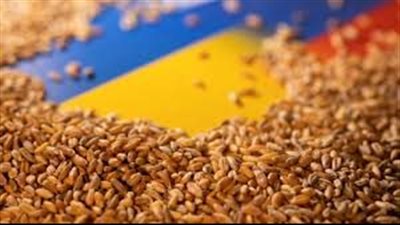 رسالة مبشرة من موسكو لدول إفريقيا حول إمدادات الحبوب