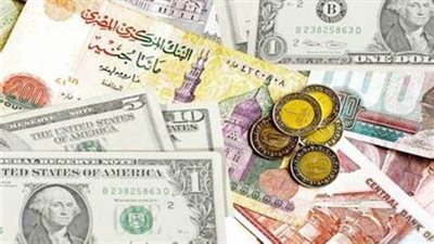 سعر الدولار اليوم الأربعاء 17-5-2023 محافظة الإسكندرية