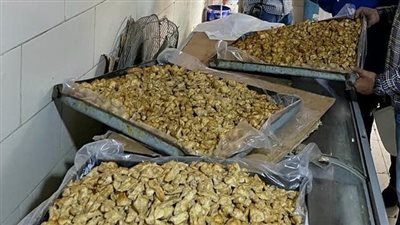 ضبط 250 كيلو لحوم ومصنعات دواجن غير صالحة للاستخدام الآدمي في الجيزة