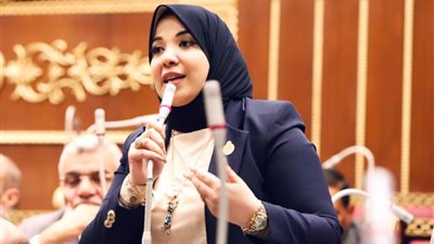 برلمانية: الجلسات الأولى للحوار الوطني ترسخ المفهوم الشامل لحقوق الإنسان