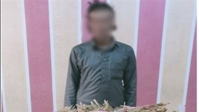 ضبط أحد الأشخاص بشمال سيناء لقيامه بالاتجار في المواد المخدرة