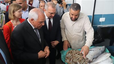 على مساحة ٢٠٠٠ م2.. سوق السمك الحضاري بالمنيب نقلة حضارية لمنظومة الأسواق