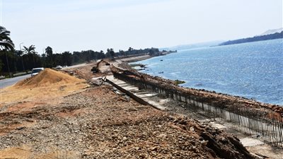 محافظ أسوان يؤكد على ضرورة تكثيف الأعمال المطلوبة طبقا للبرامج الزمنية