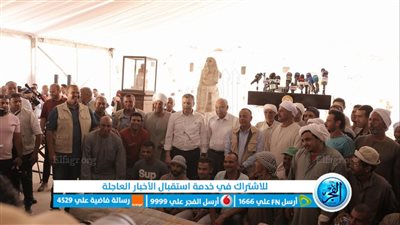 التفاصيل الكاملة لكشف سقارة الأثري.. ورشتان تحنيط ومقبرتين وتماثيل أثرية (صور) 