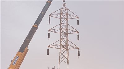 وزير الكهرباء ومحافظ أسوان يشيدان بأطقم صيانة شركة الكهرباء 