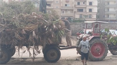 رفع 120 طن أتربة ومخلفات صلبة وقمامة من المنطقة الصناعية بجمصة (صور)