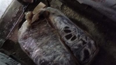 ضبط نصف طن لحوم وكبدة مجمدة غير صالحة للاستخدام الآدمي بالعمرانية