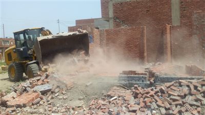 إزالة 39 حالة تعد في حملات مكبرة بالدقهلية 