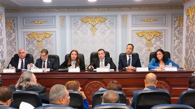 الاتصالات: التقاضي عن بعد بالمحاكم وفر للدوله مليار جنيه سنويا