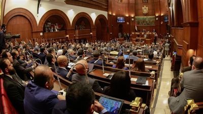 برلماني: المجلس الوطني للتعليم يبلور الاهتمام الرئاسي بالاستثمار في رأس المال البشري