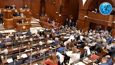 نواب الشيوخ: المجلس الوطني للتعليم والتدريب سيكون نقطة تحول لضبط المنظومة التعليمية