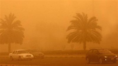 استمرار العاصفة غدا.. نصائح هامة لمرضى الحساسية والجيوب الأنفية